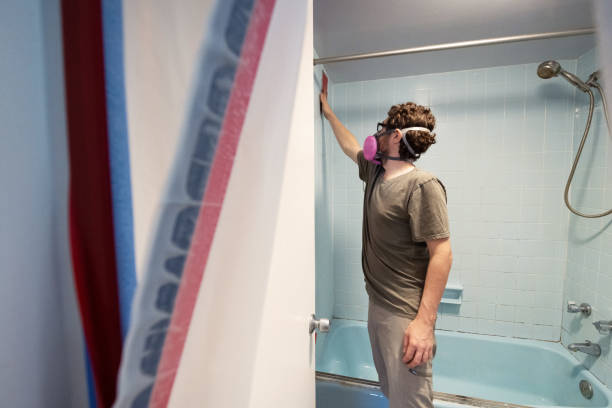 Trusted Crawford, GA Mold Removal Experts